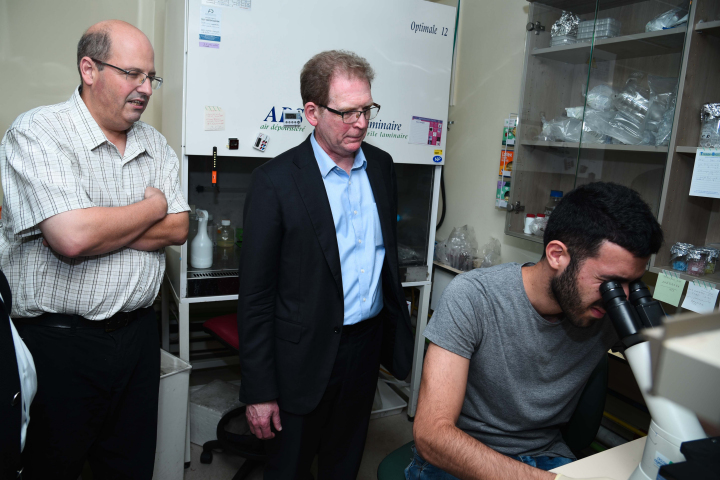 Professor Minor observing research in 
Professor Gepstein's laboratory.
Photography: Itamar Hashash Daniel