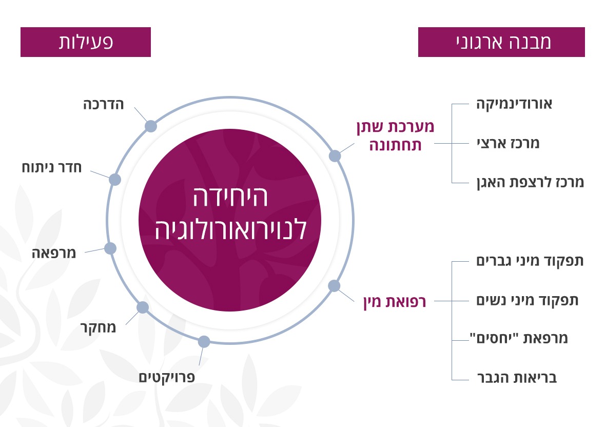 תרשים ארגוני נוירואורולוגיה
