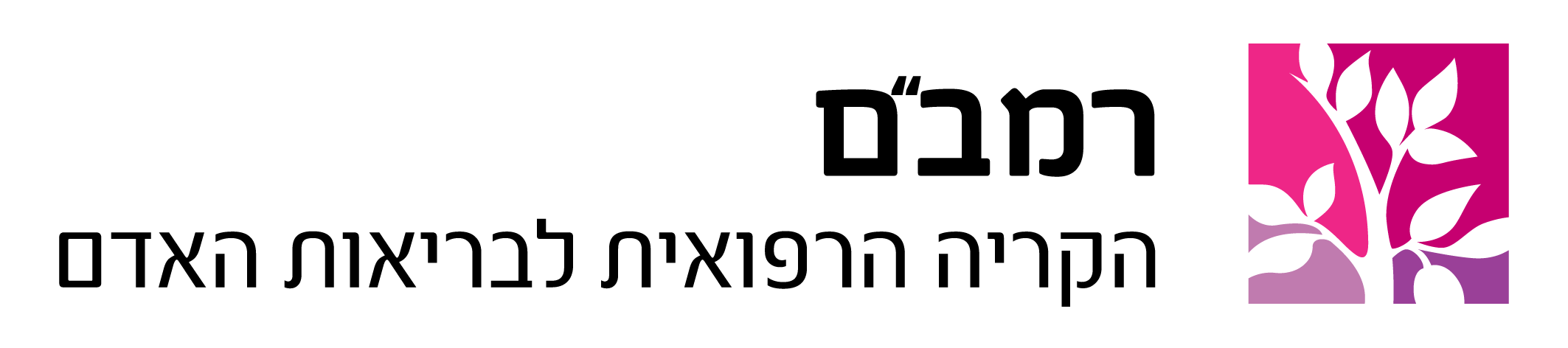 פילינג בלייזר