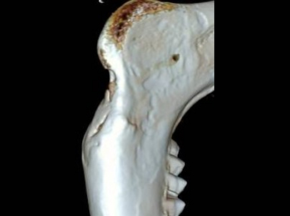 EPCure