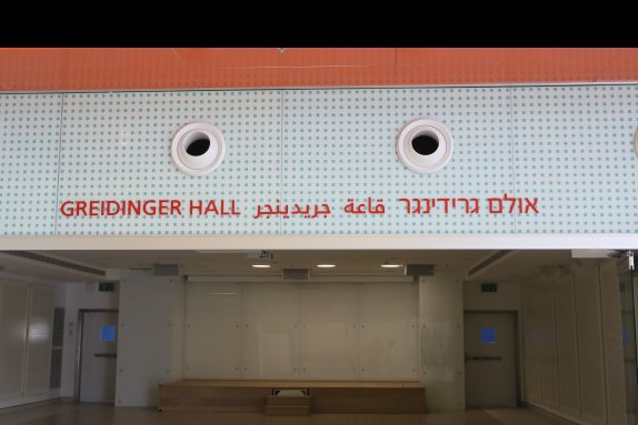 שירותים המטפלים באלימות במשפחה בשרותי הרווחה